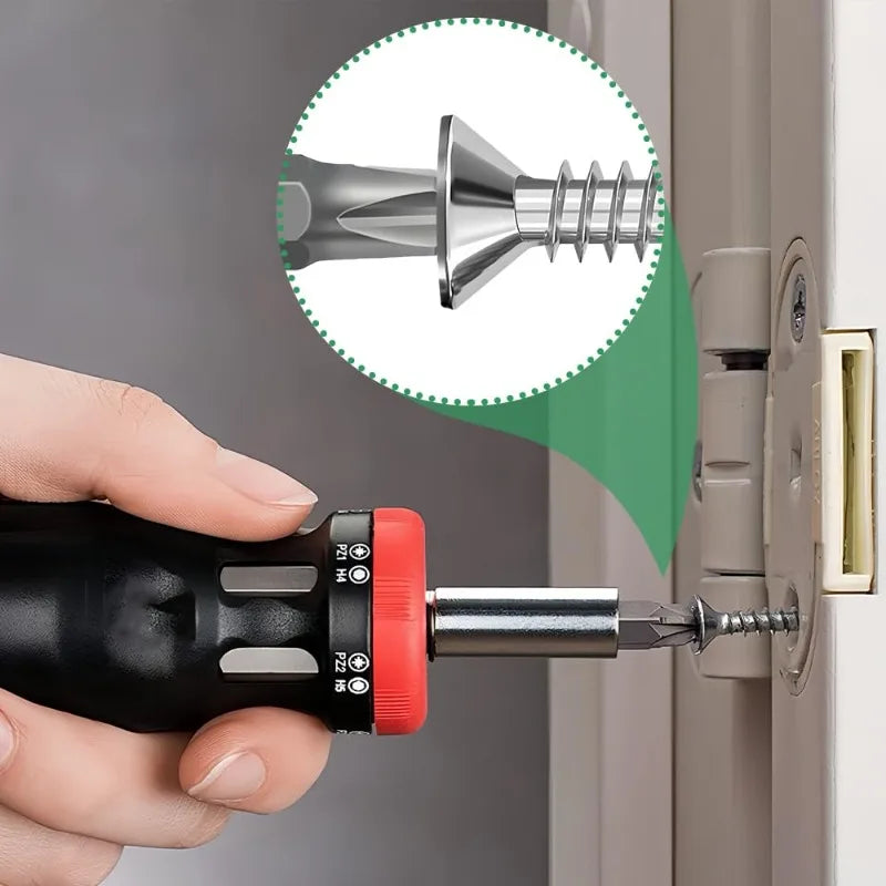 Stainless Steel Cross Phillips Screw Drill-Snail Self-Tapping Screws Metal Wooden Thread Screw Furniture Repair Fasteners Kits